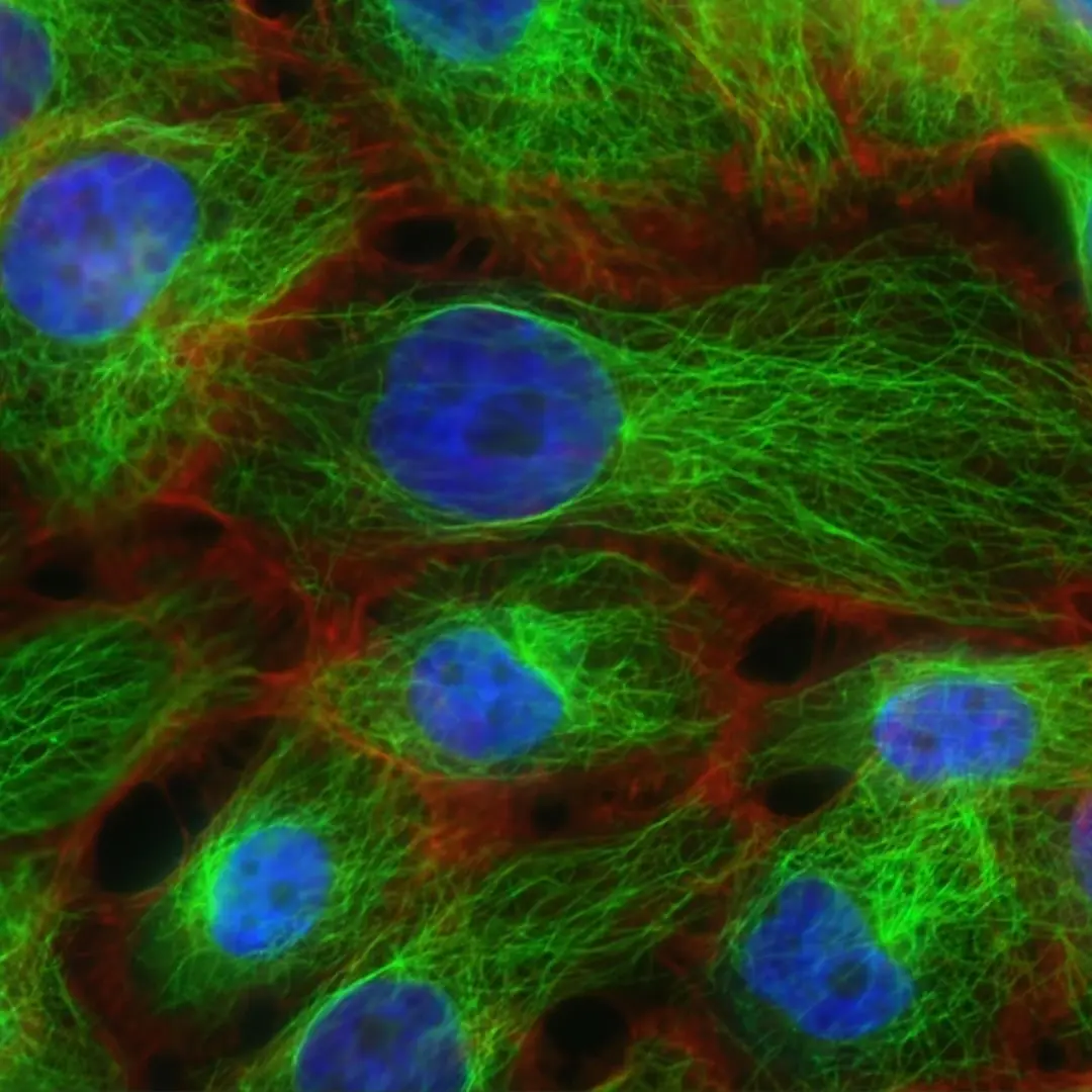 Programmable Biology: AI, Synthetic DNA, and the Future of Therapeutic Discovery