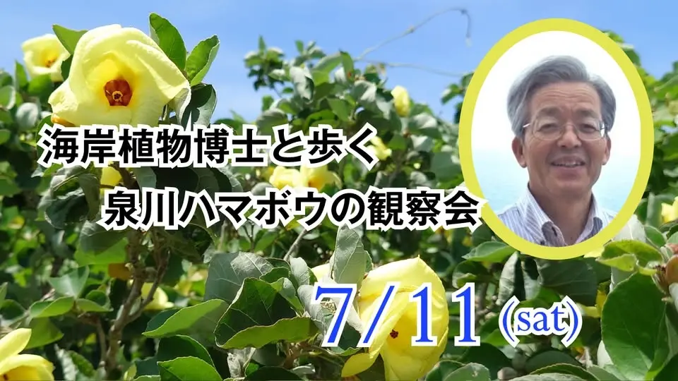 【7月11日開催】海岸植物博士と歩くハマボウの観察会