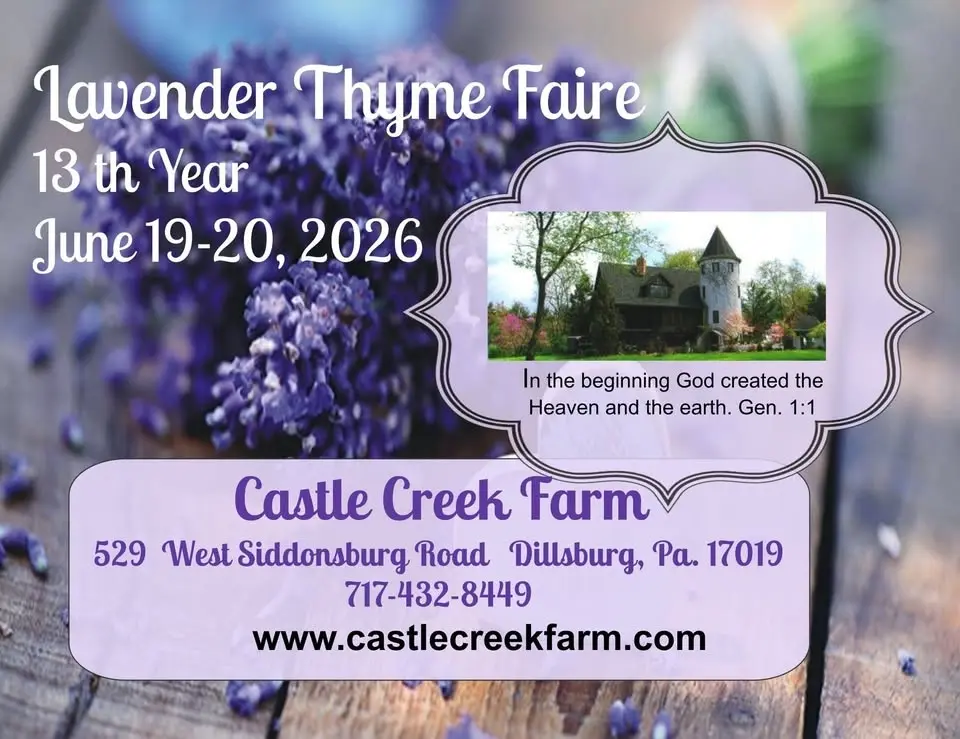 Lavender Thyme Faire