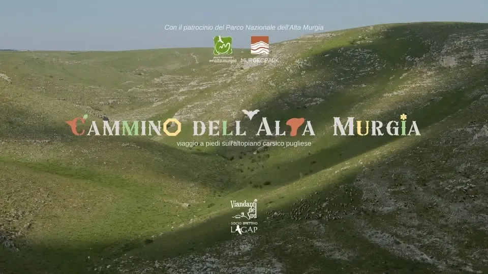Cammino dell'Alta Murgia | Puglia