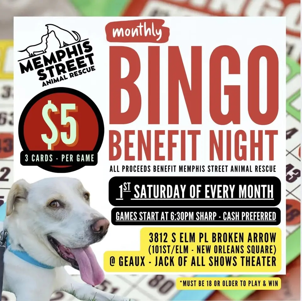 1st SATURDAY BINGO BENEFIT NIGHT supporting Memphis Street Animal Rescue