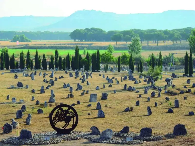 Visita a Pintia Vaccea