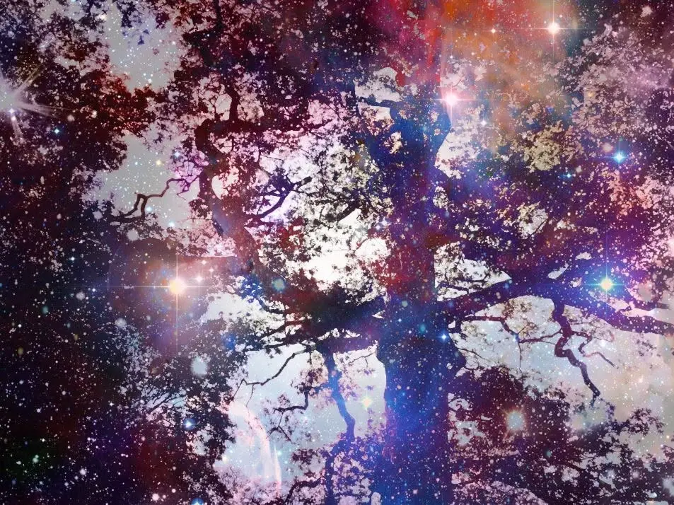 Awaken the Shaman Within – Level 1: Foundations of Universal Shamanism