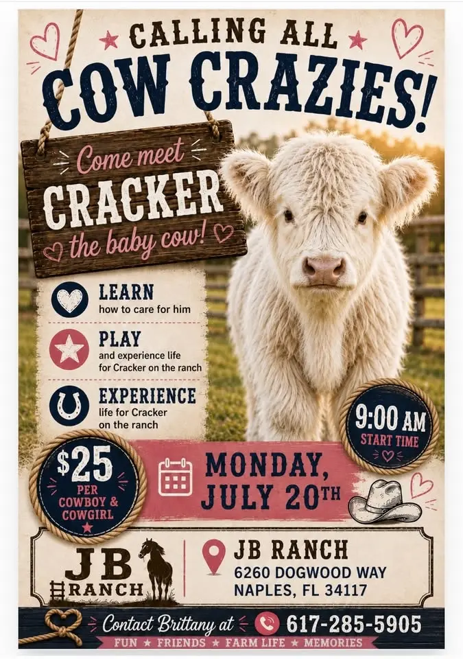 Come meet Cracker the cow