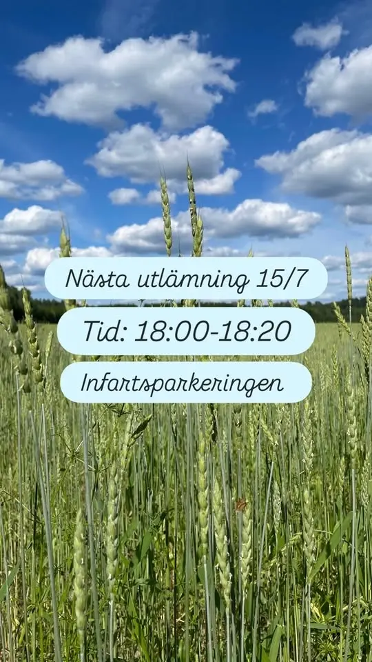 REKO Mälaröarna