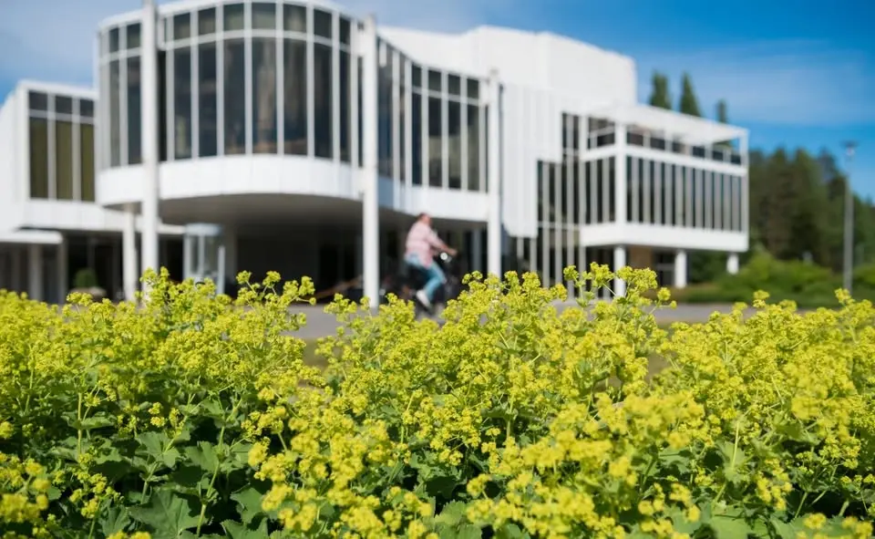 LIPAN ALTA - KESÄKONSERTTI