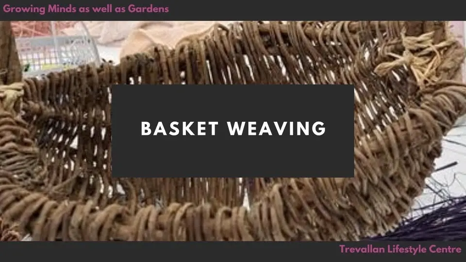 Natural Basket Weaving Workshop
