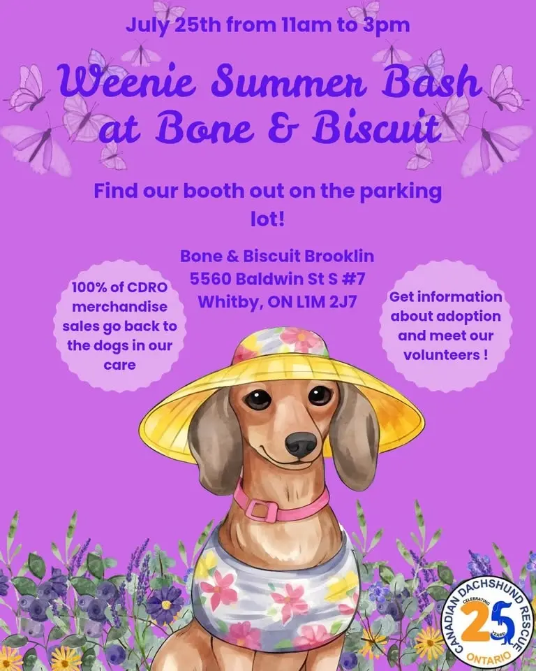 Weenie Summer Bash at Bone & Biscuit Brooklin