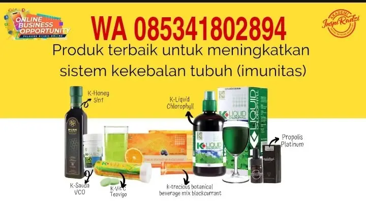 WA 085341802894 Harga Promo K-Link Panakukang