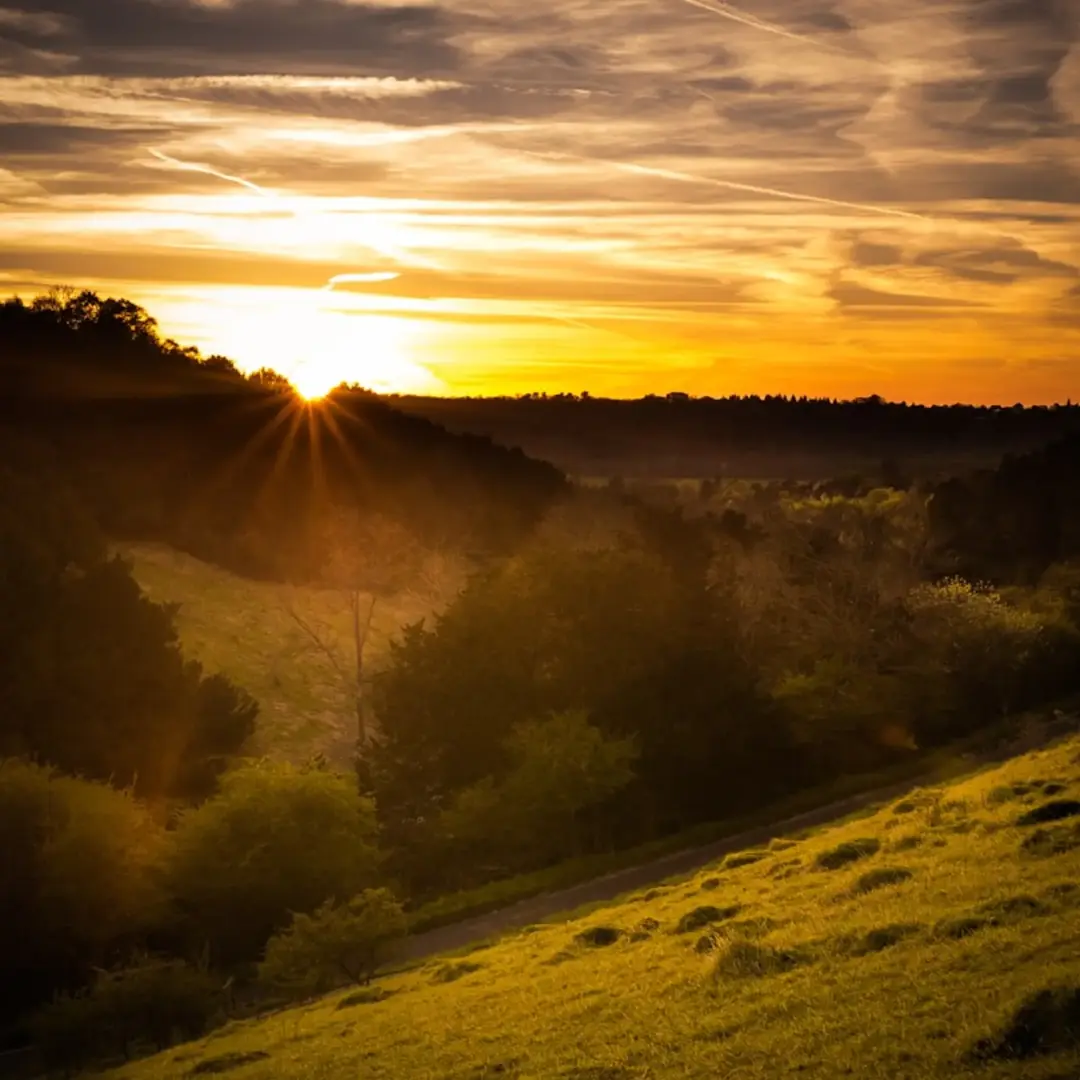 Box Hill hike