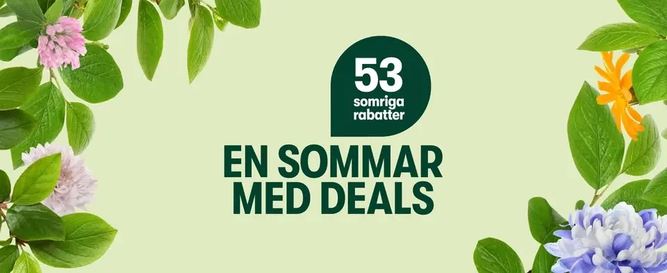 53 somriga rabatter