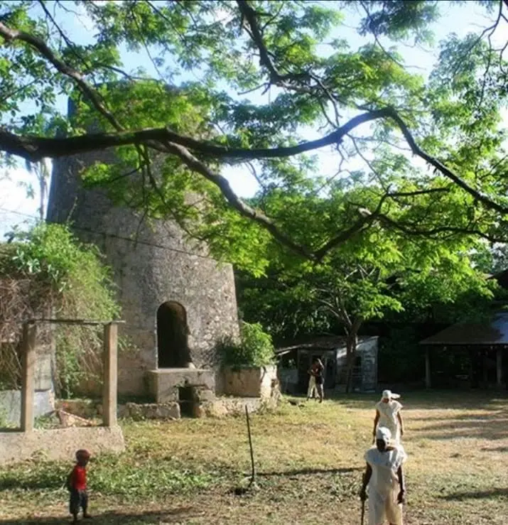 Amoureux de passage sur l'habitation Néron
