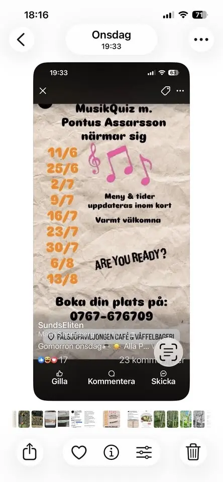 Pålsjöpaviljongen wåffelcafe