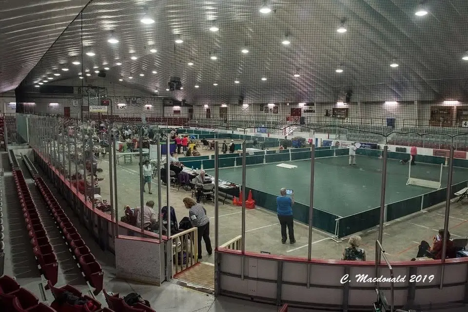 Kenora & District Dog Club Show