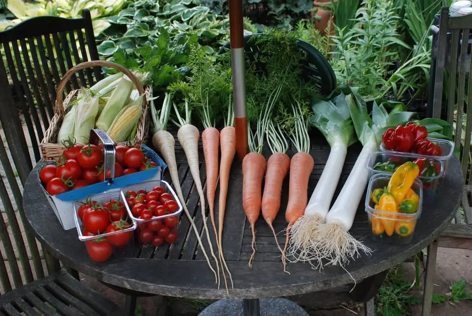 Lingwood & District Flower Show
