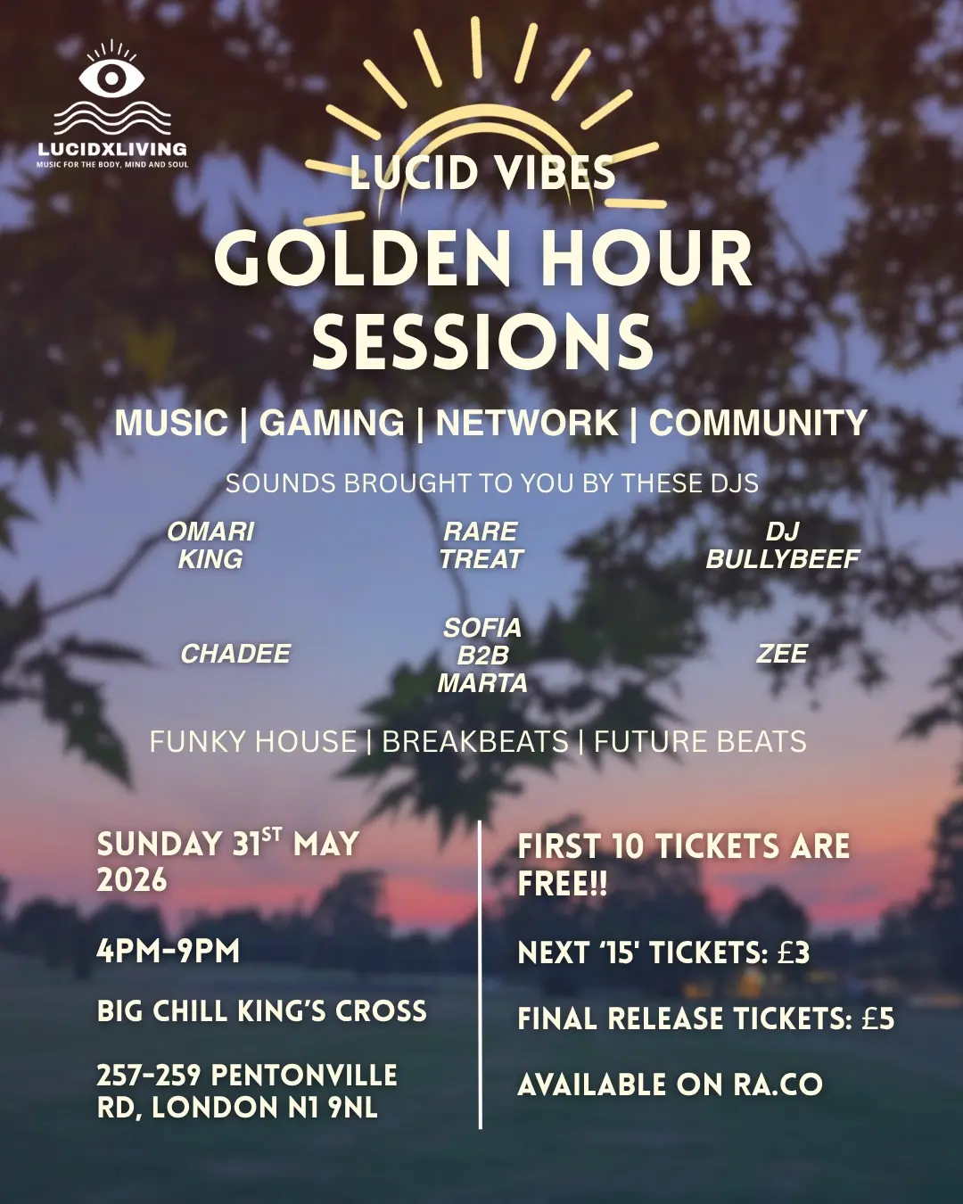 Lucid Vibes: Golden Hour Sessions