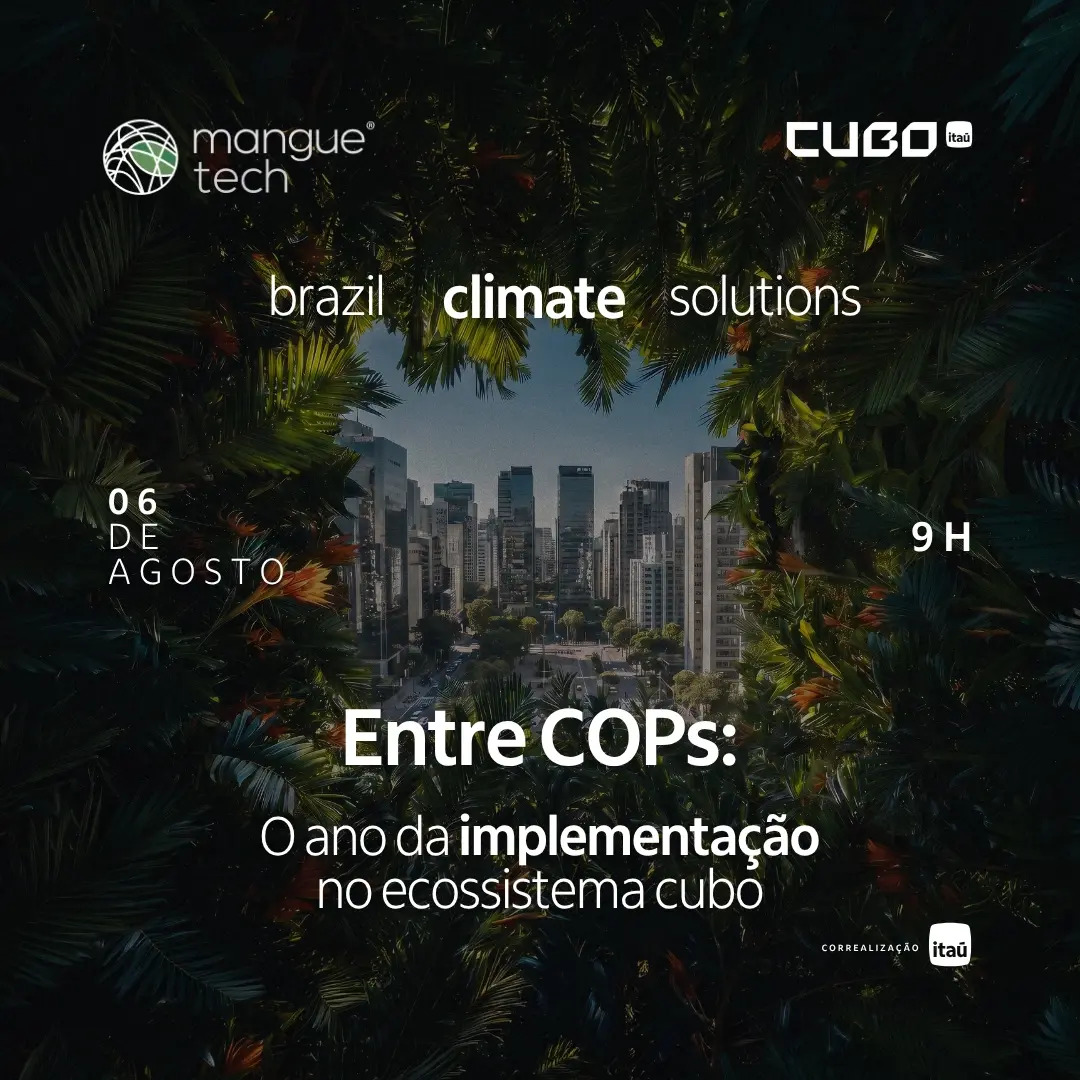 Entre COP30 e COP31: o ano da implementação no ecossistema Cubo
