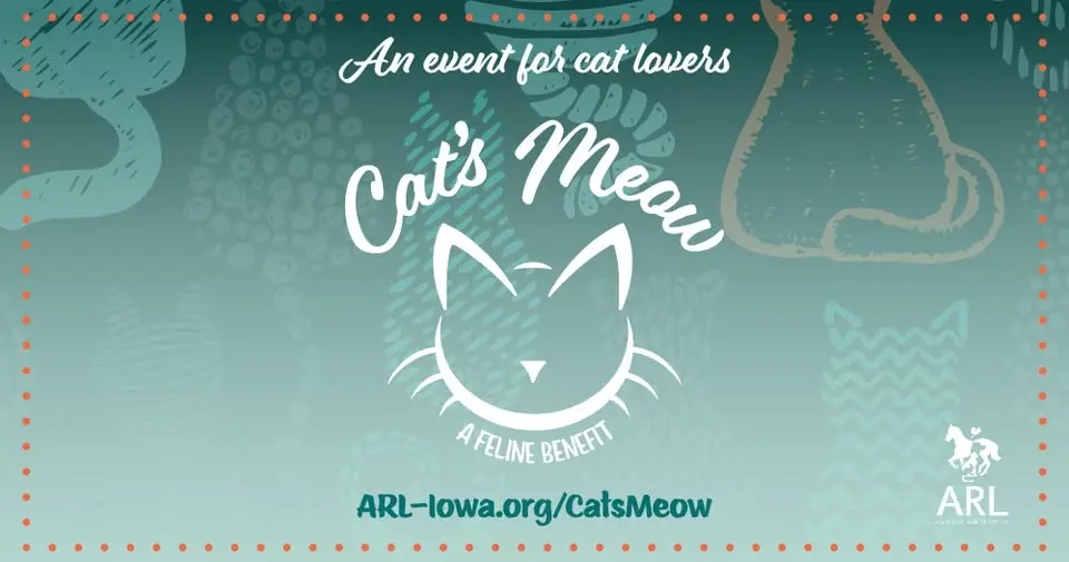 ARL Cat's Meow