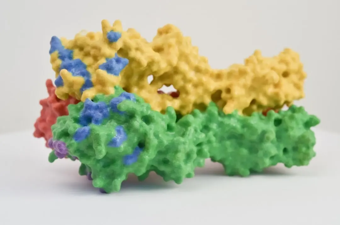 AlphaFold and Protein Structure Visualization Workshop with Roland Dunbrack
