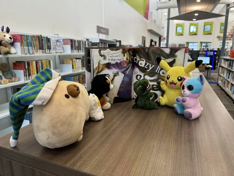 Stuffed Animal Sleepover!