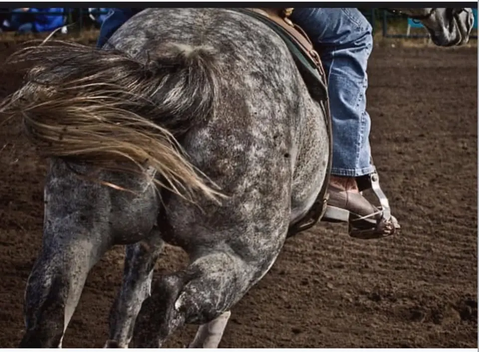 PACWEST BARREL RACING
