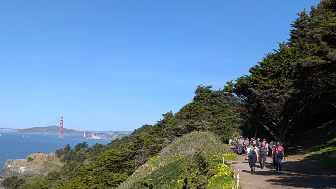 💚Green Exercise🌻🌷🌸 Wildflowers 5 Miles 🥾Ocean Hike 🌊SF Lands End🏞️