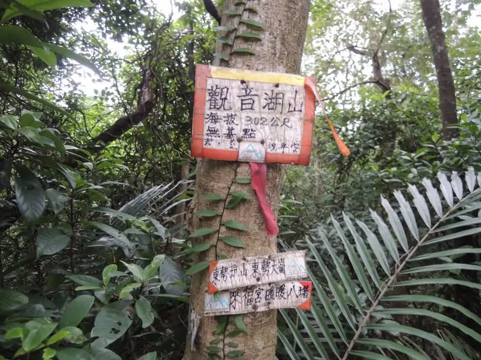 觀音湖山 東勢大崙 中窯尖出嶺腳