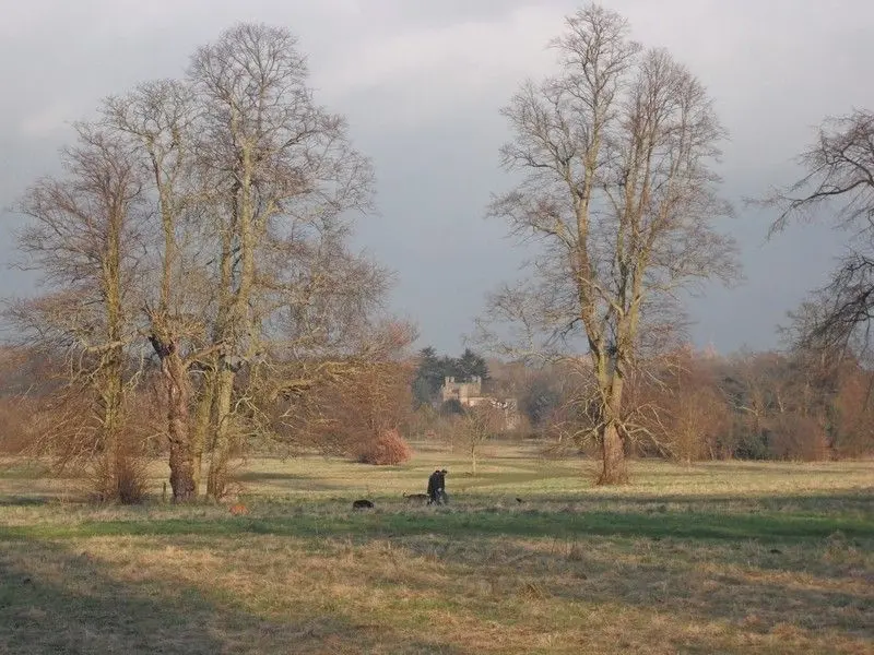 MABAC - Non Such Park - Epsom Oddballs