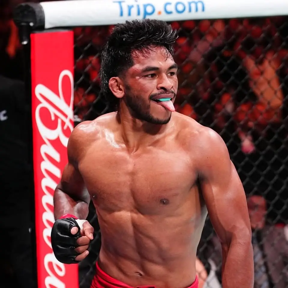 Road To UFC