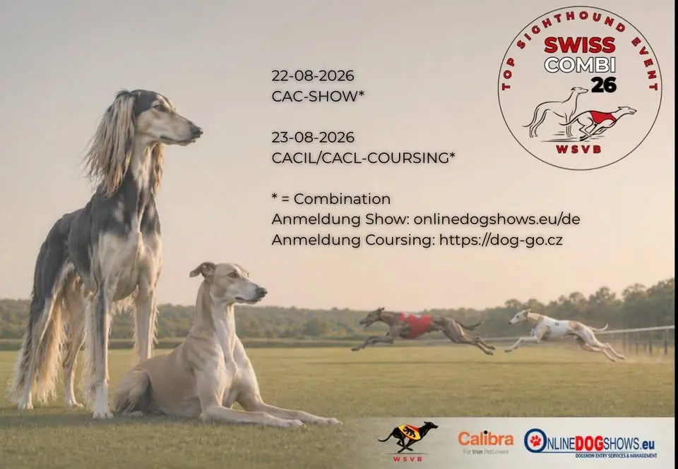 Swiss Combi CAC-Show und CACIL/CACL Coursing