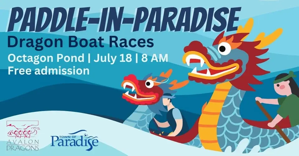 Paddle-in-Paradise