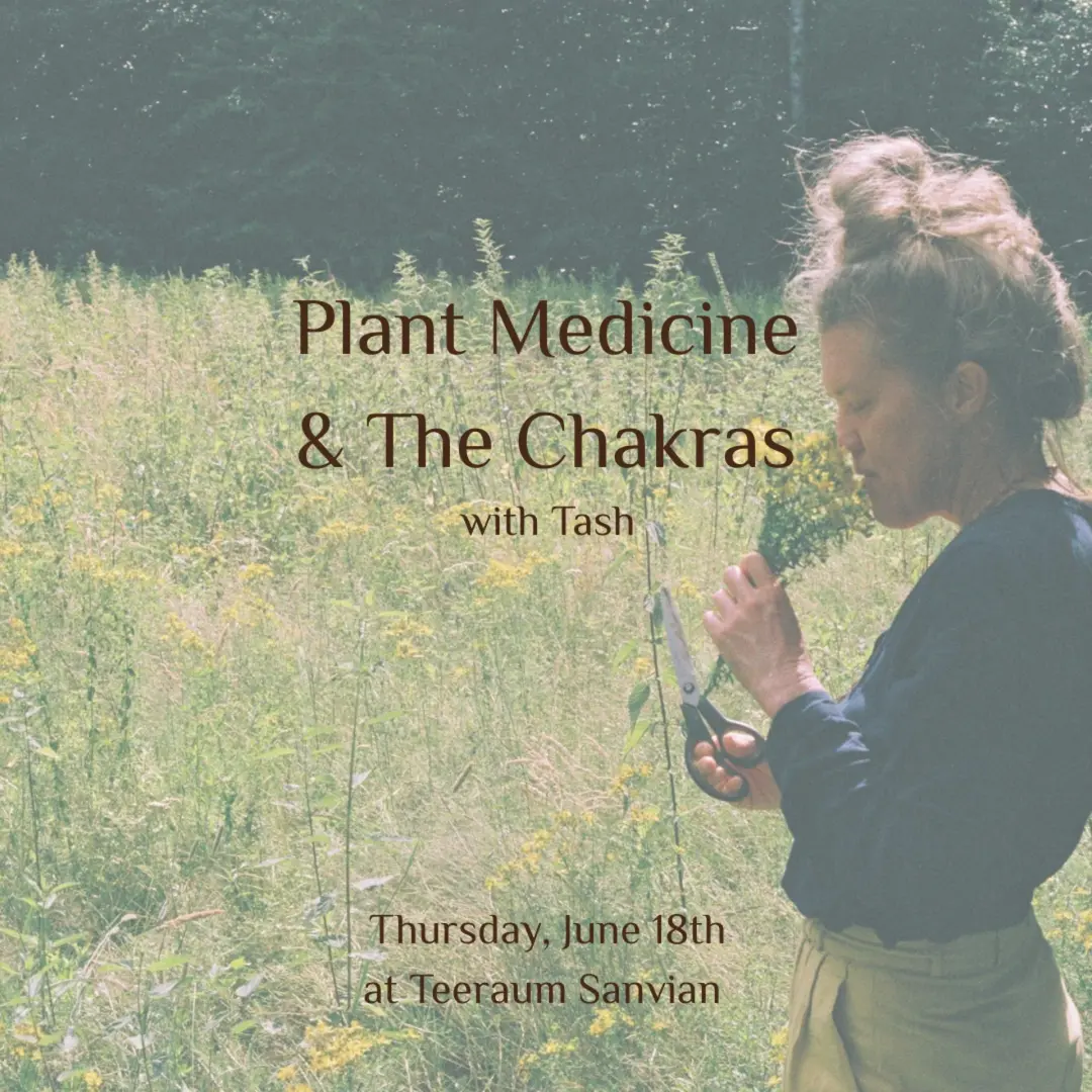Plant Medicine & The Chakras