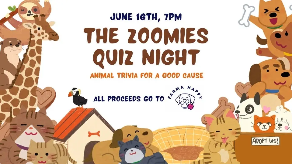 🐾The Zoomies Quiz Night🐾- Charity Fundraiser