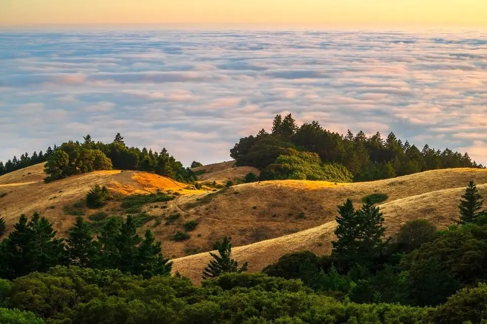 Monday Founders Hike | Post - YC SUS