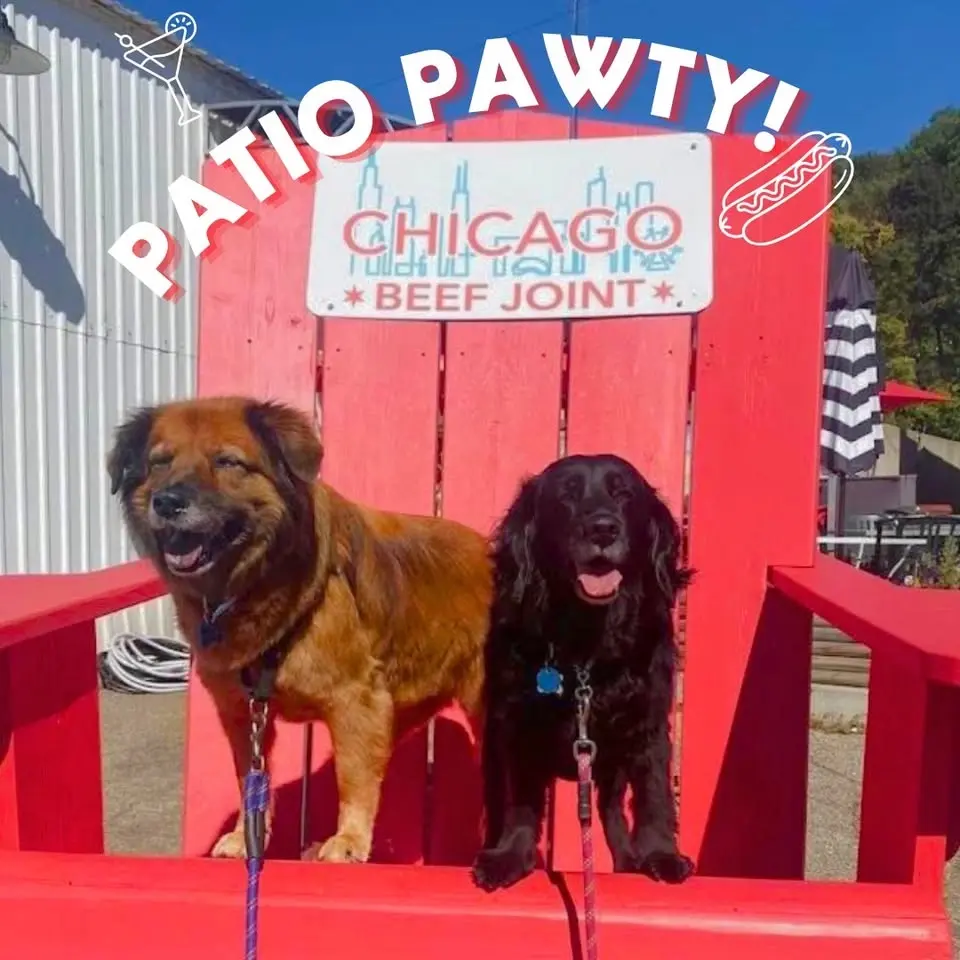 Patio Party - Tyson's Place Animal Rescue Fundraiser