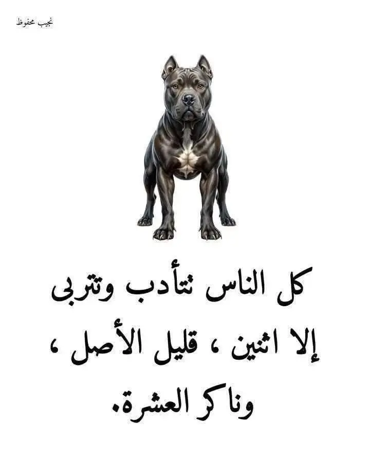 تنبيييييه 