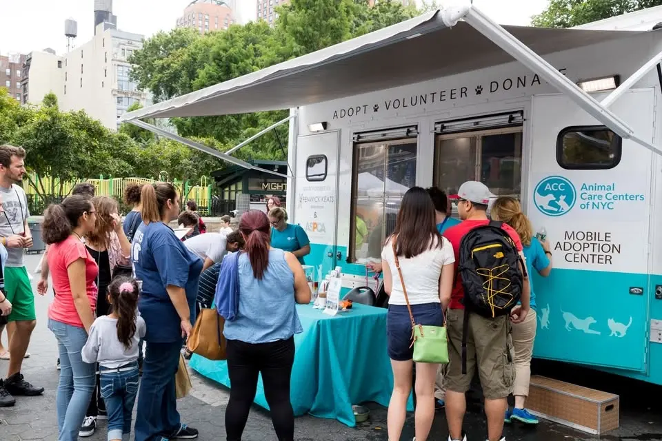 Reade Street Animal Hospital | Manhattan Adoption Event