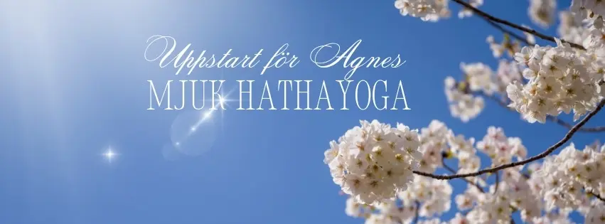 Mjuk hathayoga, uppstart för Agnes på Yogaheart, annandag pingst.
