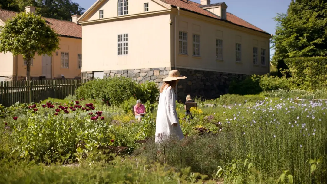 Måla Gunnebos blommor
