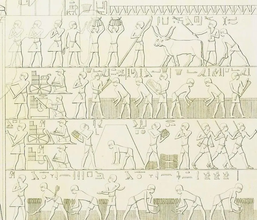 A Provincial Community of the Pyramid Age