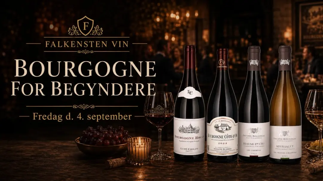  Bourgogne for begyndere