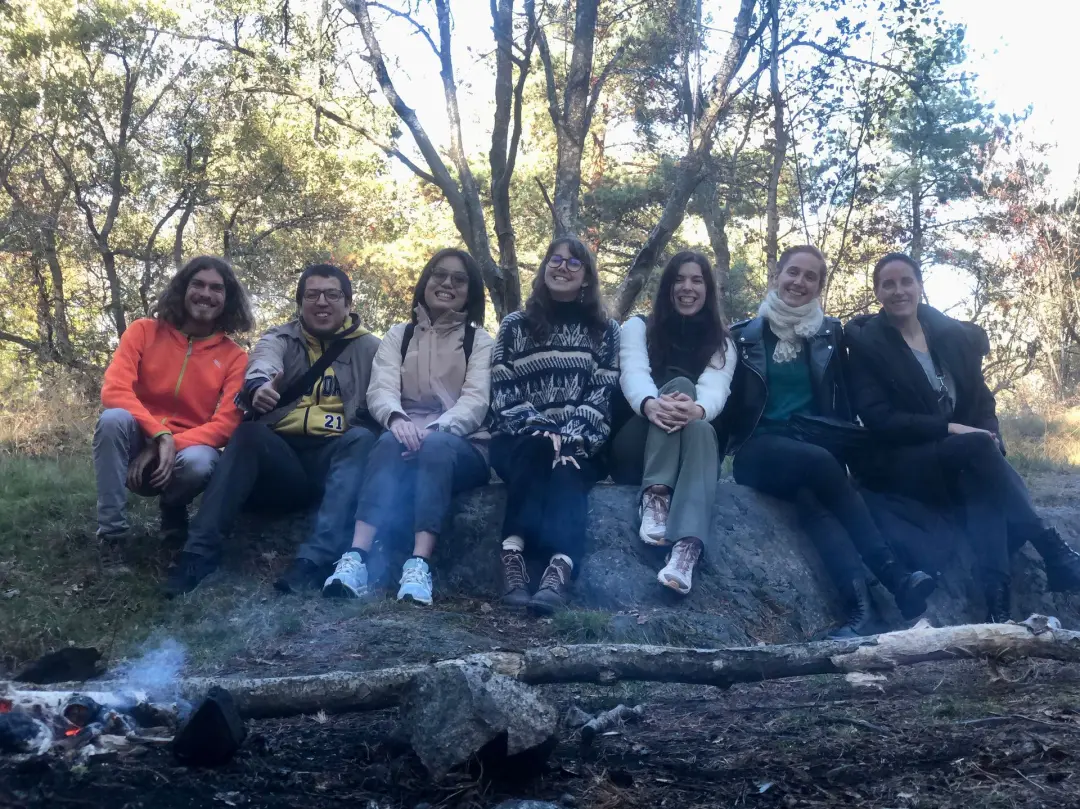 Our fourteenth forest circle 🌿 - rejuvenation