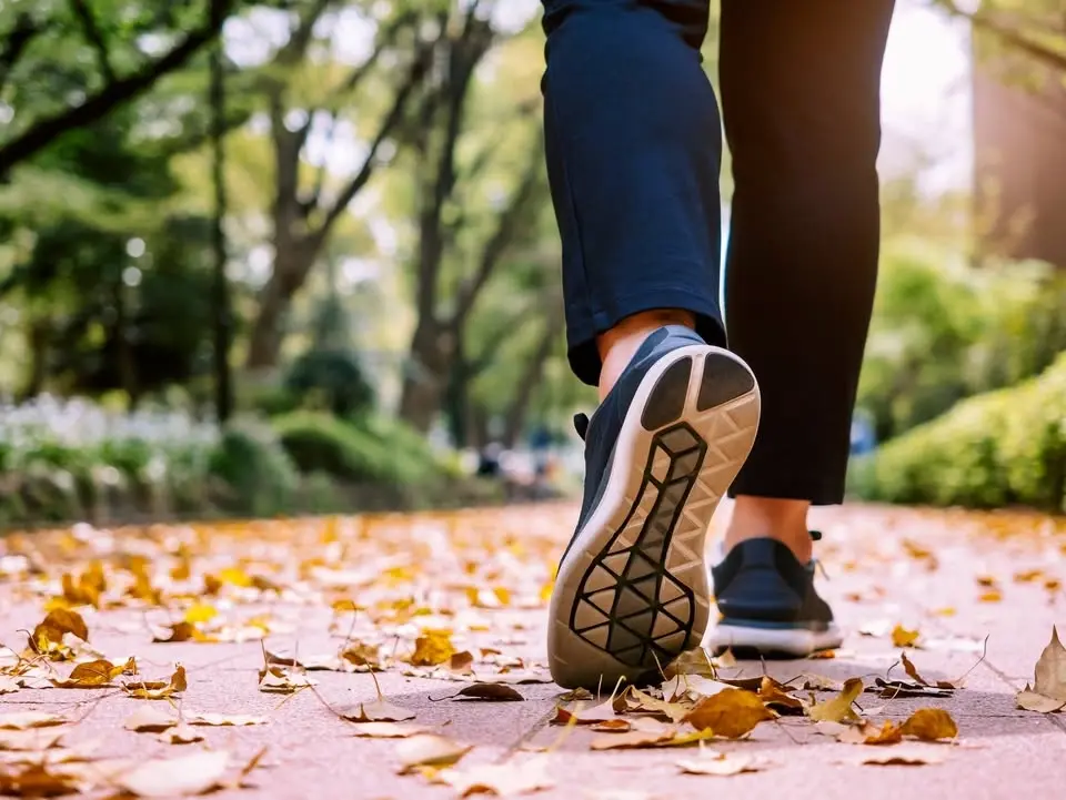 The RAMble: Walking for Wellness in Monroe Park