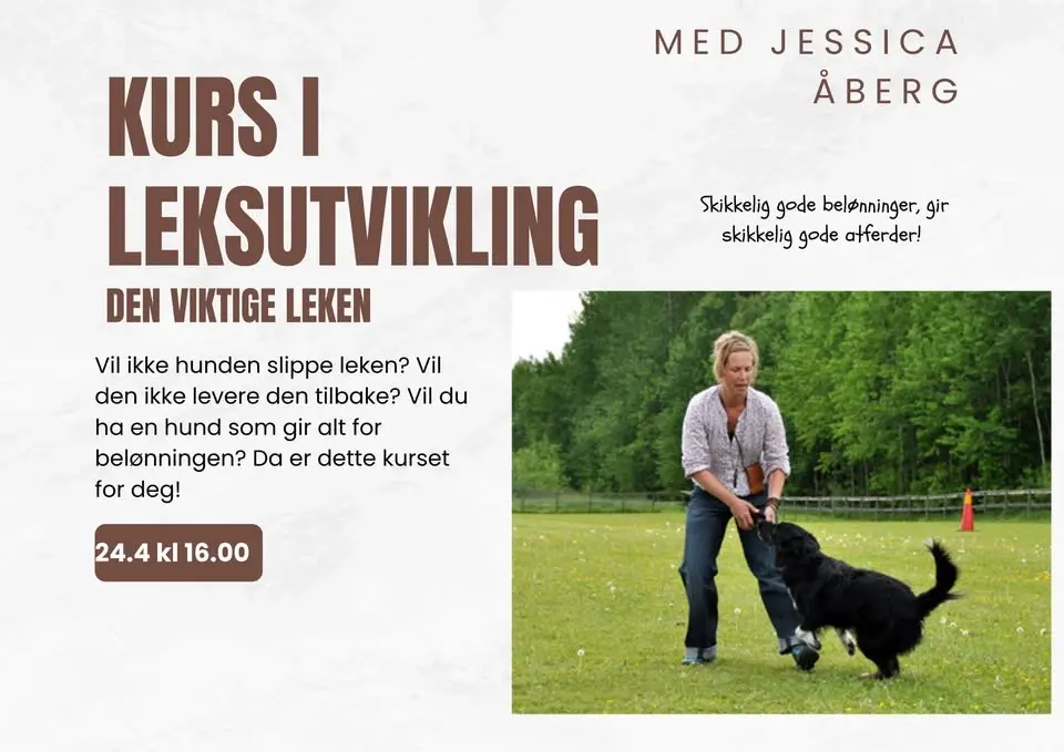 Workshop - leksutvikling med Jessica Åberg