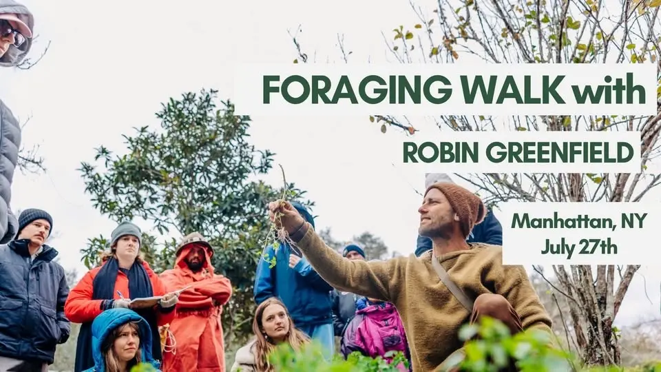 Foraging Walk with Robin Greenfield in Manhattan