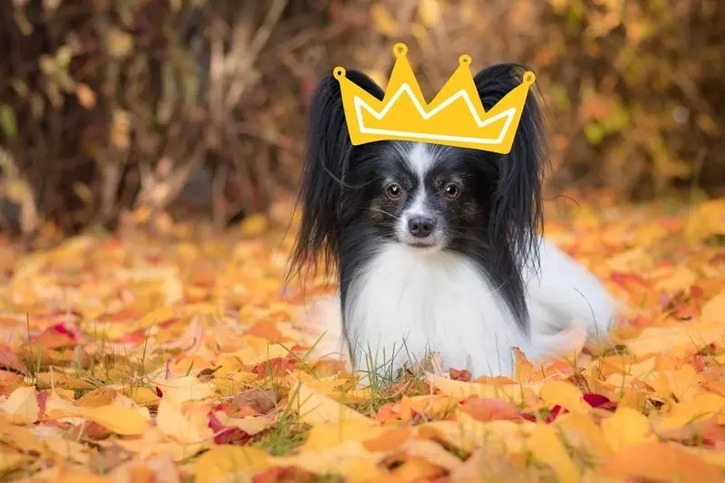 Workshop Zachraňte princeznu Berunku!