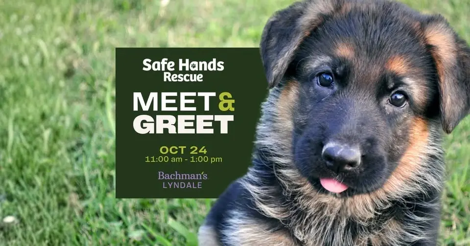 Safe Hands Rescue Meet and Greet