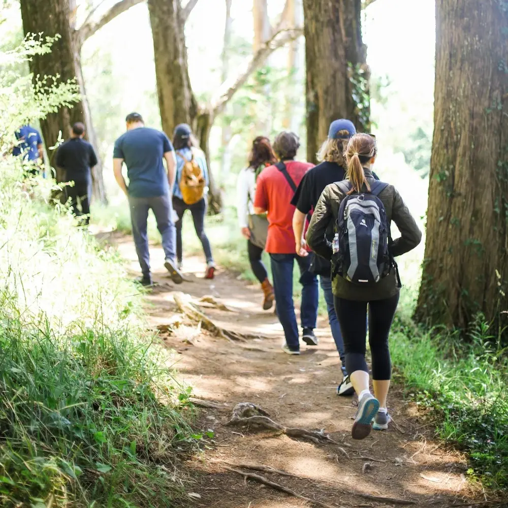 Hike & Hang (FREE)