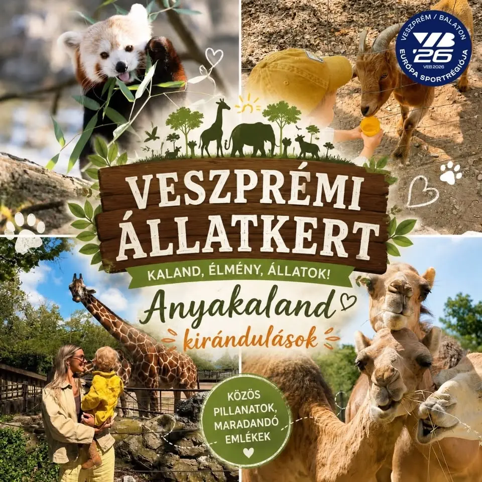 Anyakaland és Művészetek Háza VESZPRÉM - Állatkerti kalandok