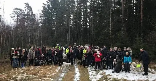 Pudelpromenad i Ängsjö